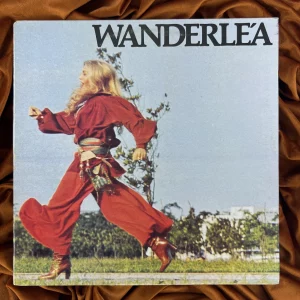 Wanderléa - Vamos que eu ja vou (1977)