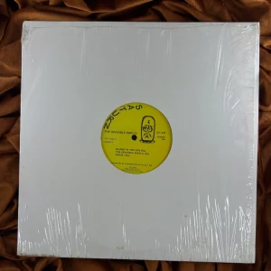 Sun Ra and his Arkestra - Invisible Shield