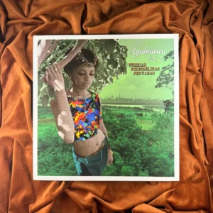 CUMBIAS PSICODÉLICAS VOL. 2 - AYAHUASCA (PERU) [NOVO]