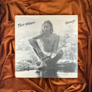 FLÁVIO VENTURINI - NASCENTE (ED. 1985)