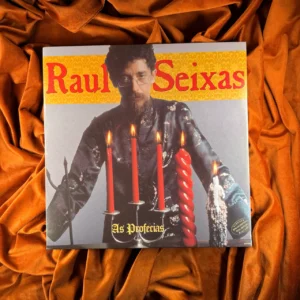 RAUL SEIXAS - AS PROFESSIAS
