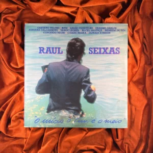 RAUL SEIXAS - O INÍCIO O FIM E O MEIO